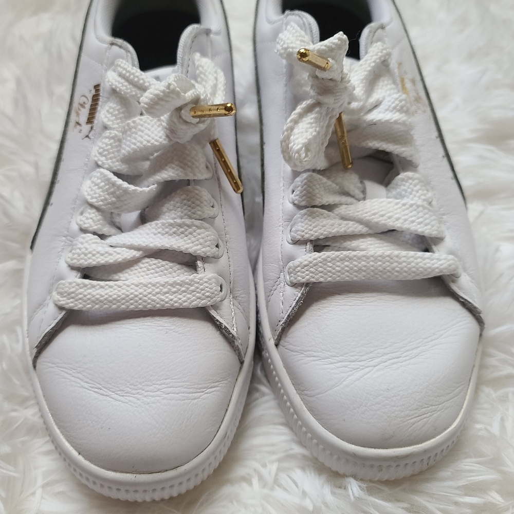 Pumas